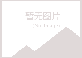 吴川冰夏化学有限公司